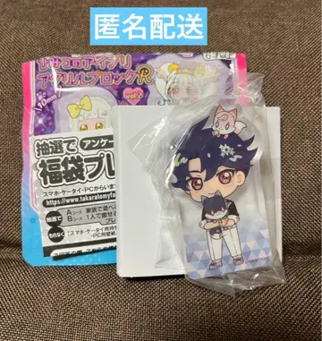 비밀의 아이프리 아크릴 블록R vol.2 스바루