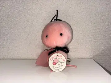 노리피망 봉제 인형 사카이 노리코