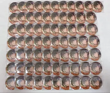 앙스타 하스미 케이토 피처 2 캔뱃지 71개