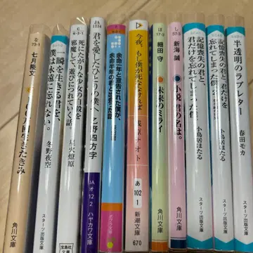 소설 세트 전부 커버 포함!