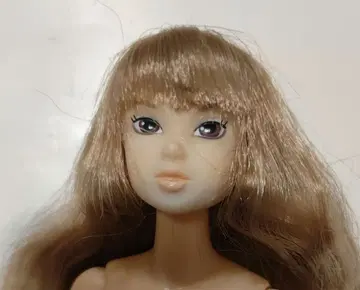 momoko 인형 본체만