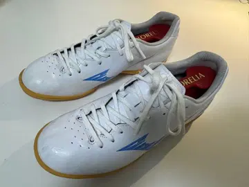 미즈노 모나르시다 풋살화