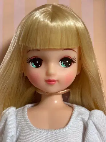 2014년 일본바시 BASIC 모델 키라짱 리카짱 캐슬 작은 가게