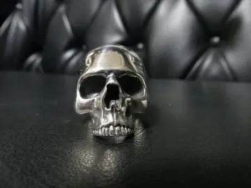 더 그레이트 프로그 아나토미컬링 빌월 레더 가볼