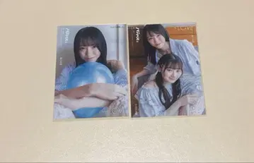 노구치 이오리 사이토 지아라 브로마이드 성우 파라다이스