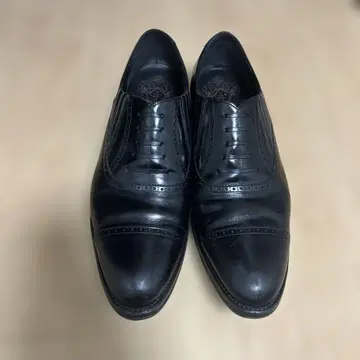 Shetland Fox 사자크 UK8