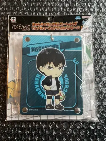 하이큐!! 큥캐러 일러스트레이션즈 아크릴 패스 케이스 카게야마 토비오