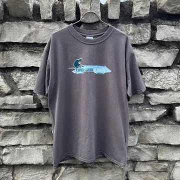 00s LINKIN PARK METEORA 빈티지 티셔츠 그레이