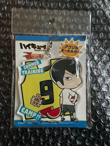 하이큐!! J-WORLD 아크링 키링 카게야마 토비오 썸머 트레이닝 캠핑