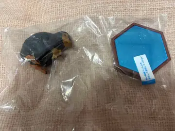 USJ 마법 생물 컬렉션 니플러