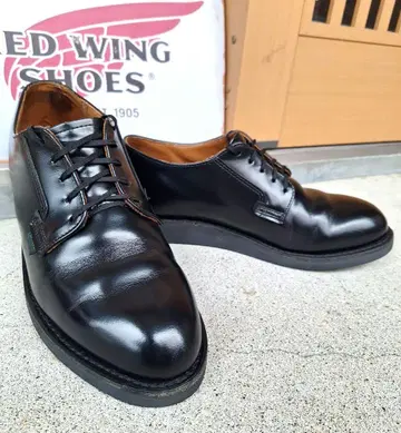 레드윙 101 포스트맨 8D