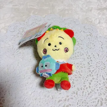 코지코지 x 산리오 캐릭터즈 코지코지 한교동