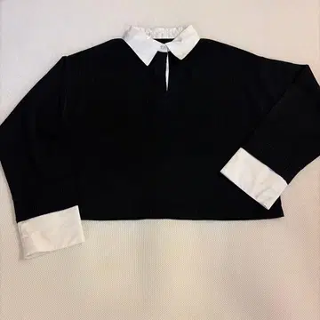 폴로 옷깃, 블랙 니트 크롭 기장