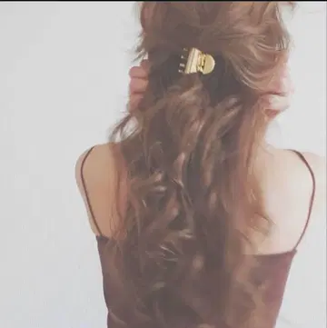 lui jewelry claw clip