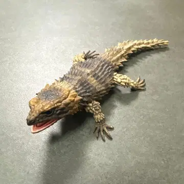 생물대도감 어드밴스 아르마딜로 도마뱀 모자이크