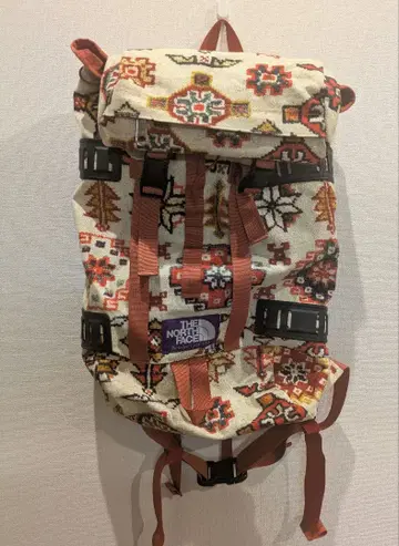 THE NORTH FACE 민족 패턴 백팩