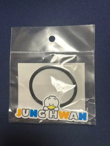 [ TREASURE x 하피단부이 ] 콜라보 정환 x 페클 머리끈