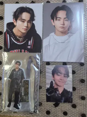 라스피 TAIKI 아크릴 스탠드 엽서 포토 카드 세트