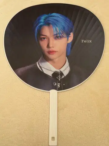 straykids Felix 부채 social path