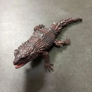 생물대도감 어드밴스 아르마딜로 도마뱀 블랙