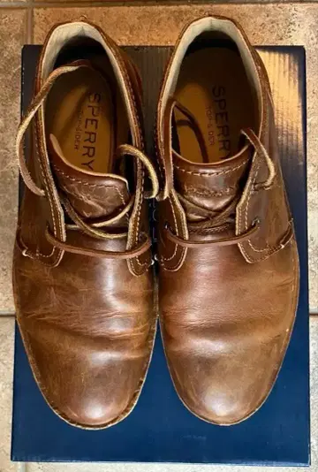 Sperry / 브라운 / 레이스업 슈즈 / 부츠