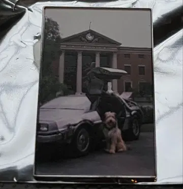 백투더퓨처 40주년 핀 배지 아인슈타인