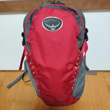 OSPREY 데이라이트 백팩
