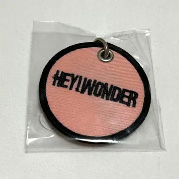 크로마니욘즈 HY!WONDER 키링