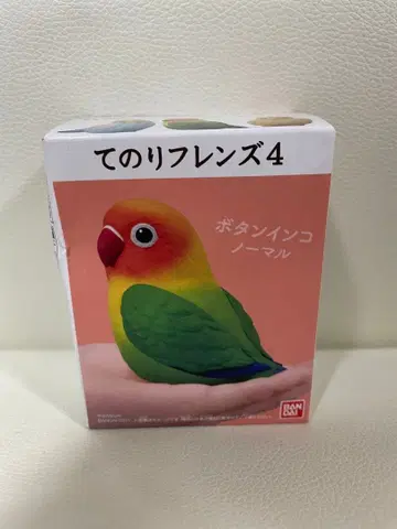 테노리 프렌즈 4 버튼잉꼬 노멀