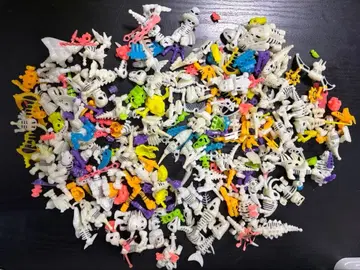 호네호네 자우르스 묶음 판매 세트