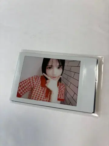 fruits zipper 오스즈 진제 스즈카 폴라로이드