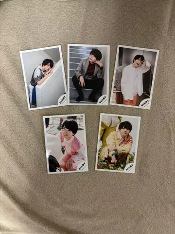 나니와단시 니시하타 다이고 공식 사진 26장 세트