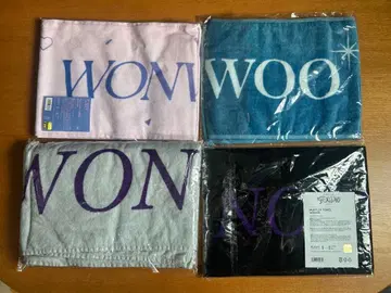 SEVENTEEN 원우 T셔츠 타월 부채