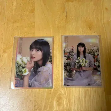 엔도 사쿠라 Blooming Fairy town 모바카 노기자카