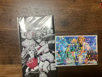 하치나이 나이트 주니치 당첨자 89명 한정판 클리어 파일 엽서 하치나이