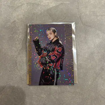 야마모토 쇼고 시크레