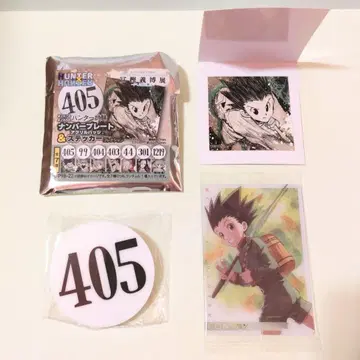 곤 HUNTER x HUNTER 번호판 & 스티커 이타자가