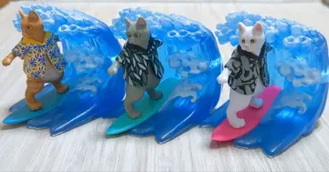 알로하 고양이 파도타기 멋쟁이 고양이