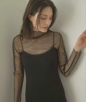 ACYM 시어 하이넥 블라우스