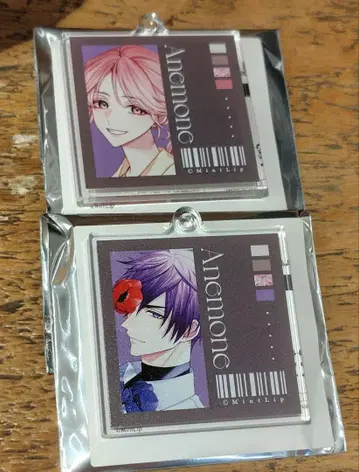 하나카레 아크릴 키링 이치게 호쿠토