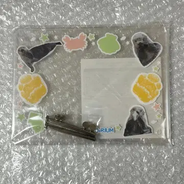 도바 수족관 랏코 메이짱 복권 캡슐 복권 손 모양 포함 포토 프레임 키라