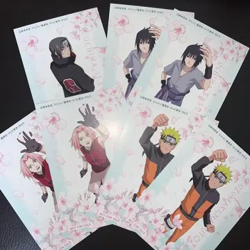 NARUTO 엽서 특전 벚꽃 마에다 커피