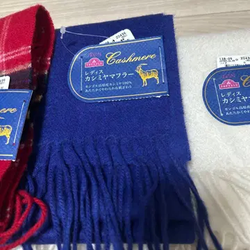 여성용 캐시미어 머플러 파랑