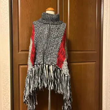 데시구알의 터틀 판초