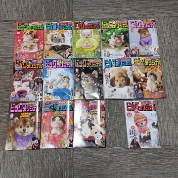 빅 코믹 오리지널 25.4.20~25.10.20 연속 번호 총 13권