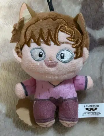 닌타마 란타로 호와누이 난자타운 남코 한정판 젠포지 잇사쿠