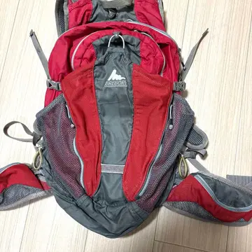 GREGORY 백팩 레드/그레이