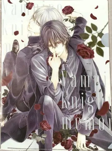 뱀파이어 기사 응모자 전원 선물 클리어 파일 LaLaDX 11월호