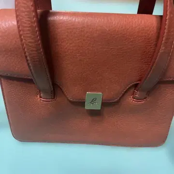 오렌지 핸드백 숄더 스트랩 포함