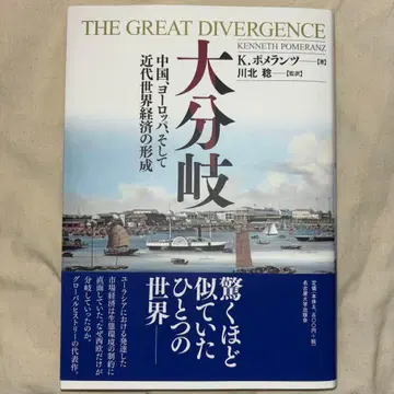 대분기 중국, 유럽, 그리고 근대 세계 경제의 형성